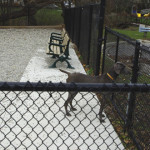Woburn Park