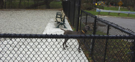 Woburn Park