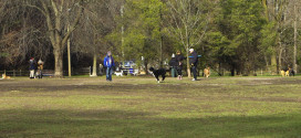Sunnybrook Park